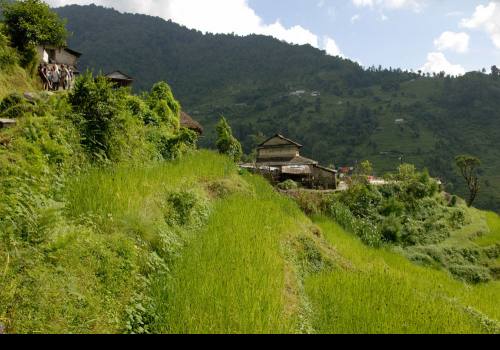 Annapurna Himalaya Panorama/ Poonhill Trek